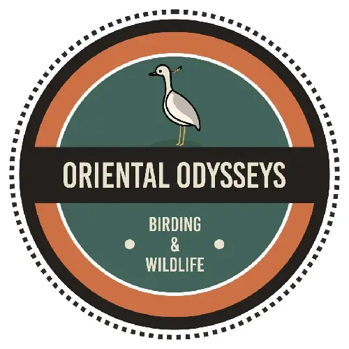 Oriental Odsseys